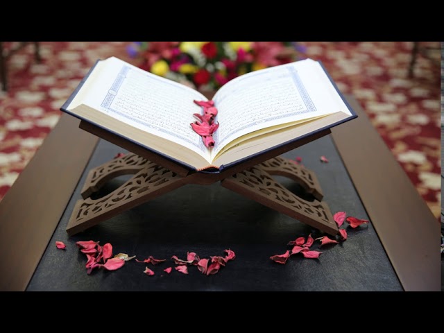 القرآن الكريم كاملاً | مشاري العفاسي